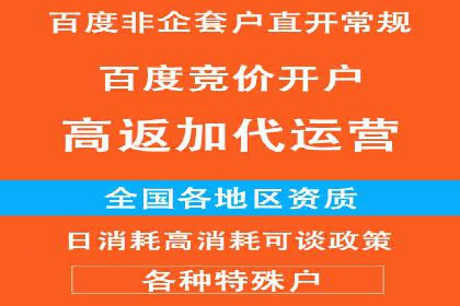 百度推广公司案例研究：揭秘电商行业爆款打造秘诀
